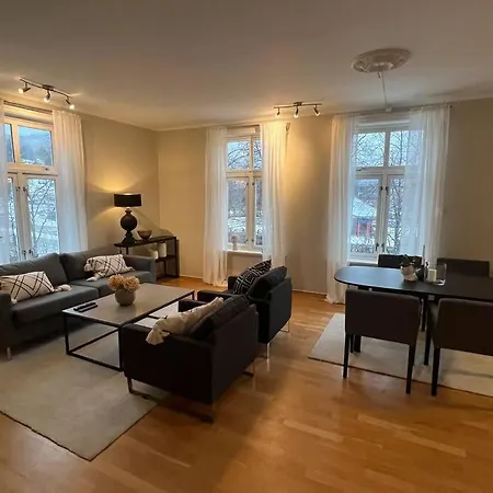 Sentral Og Moderne Leilighet *